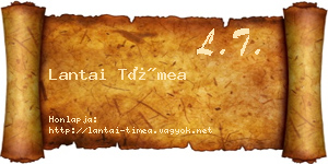 Lantai Tímea névjegykártya